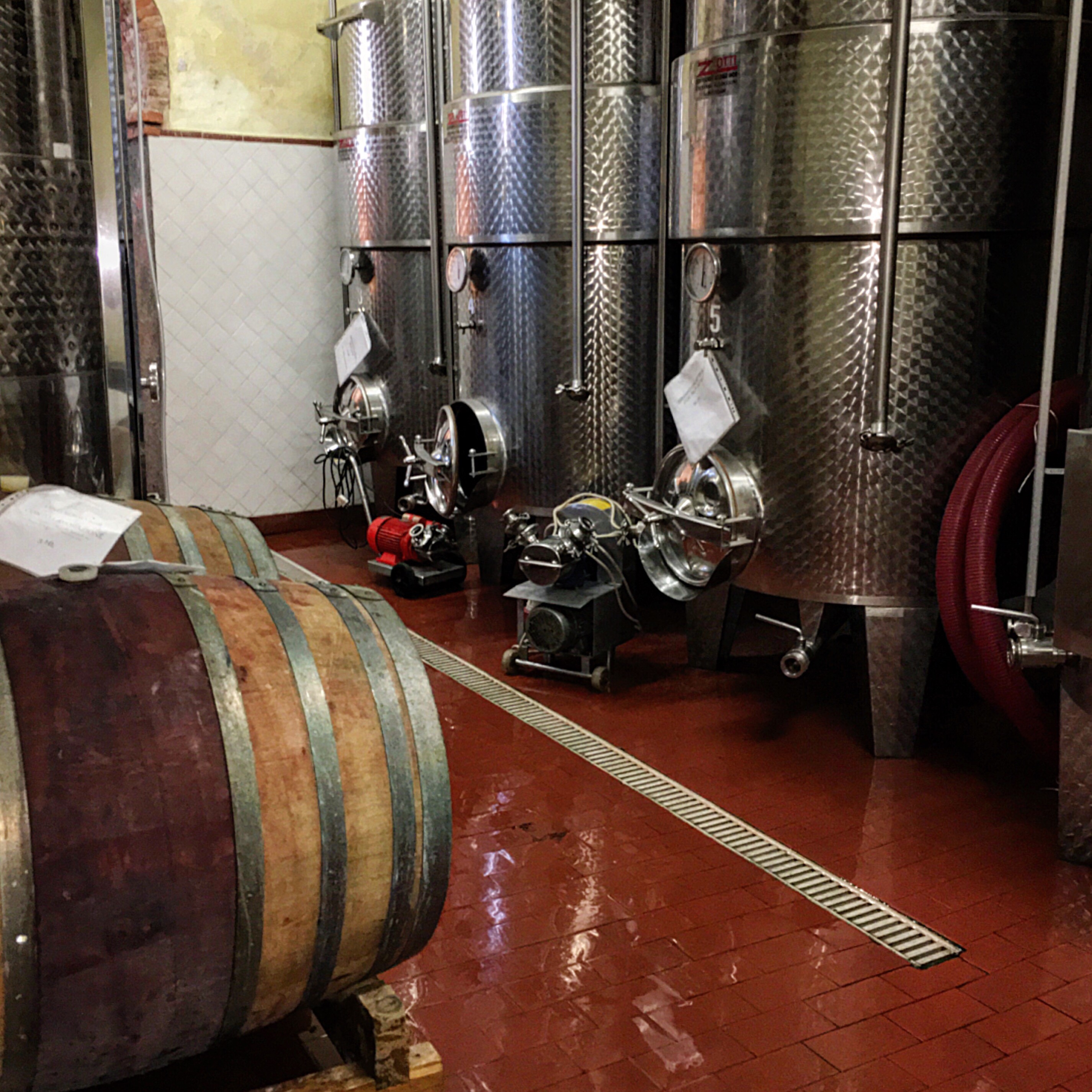 Tour in cantina + degustazione
